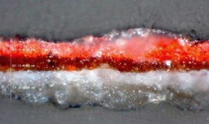 46217 Cross section 02 500X